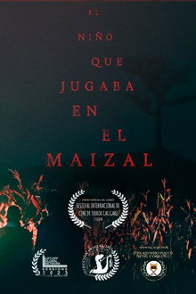 El niño que jugaba en el maizal