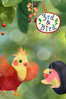 3rd & Bird