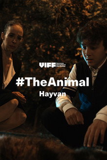 Hayvan