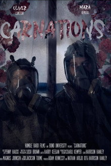 Carnations