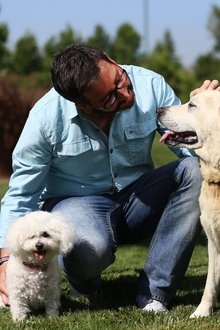 Amores-perros