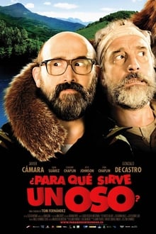 Poster do filme What's a Bear For?