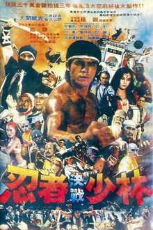 忍者決戰少林