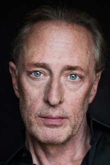 Photo of Wilfried Hochholdinger