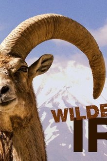 Wilder-Iran