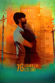 7G Rainbow Colony Collection Poster