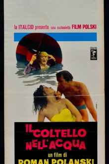 Il coltello nell'acqua