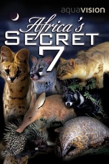 Poster do filme Africa's Secret Seven
