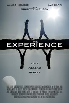 Poster do filme The Experience