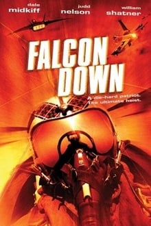 Poster do filme Falcon Down