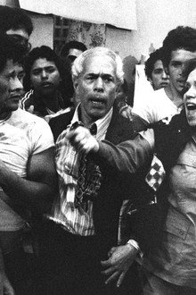 El Rebaño de los Ángeles