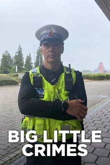 Poster da série Big Little Crimes