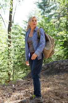 In the Forest
