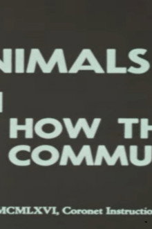 Animals and How They Communicate