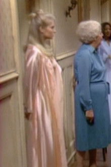 Bosom Buddies - Season 1