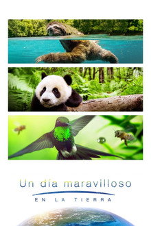 Un día maravilloso en la Tierra