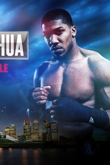 Charles Martin vs. Anthony Joshua