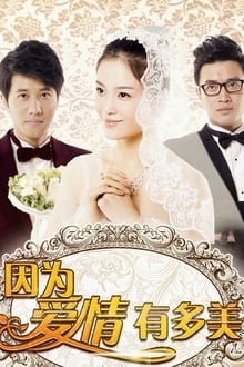 Poster da série 因为爱情有多美