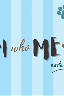 แมวที่มากับฝน คนที่มากับรัก