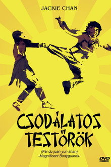 Csodálatos testőrök