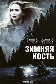 Зимняя кость