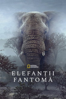 Ghost Elephants