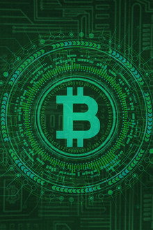 Cryptokoorts