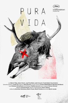 Pura Vida