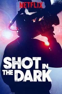 Poster da série Shot in the Dark