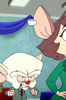 Animaniacs season 1 episode 24