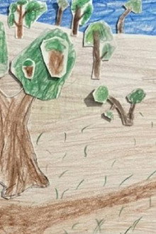 Deforestation