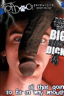 I Got Fucked by a Big Black Dick 4