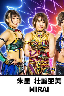 TRIANGLE DERBY Ⅰ