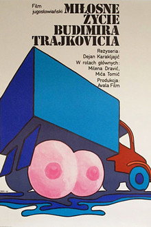Ljubavni život Budimira Trajkovića