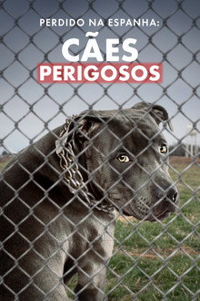 Perdido na Espanha: Cães Perigosos
