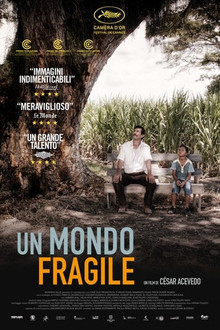 Un mondo fragile