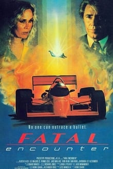 Poster do filme Fatal Encounter