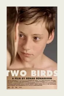 Poster do filme Two Birds