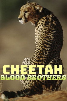 Cheetah Blood Brothers
