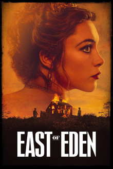 Miniseries