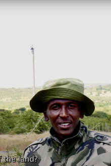 Nashulai