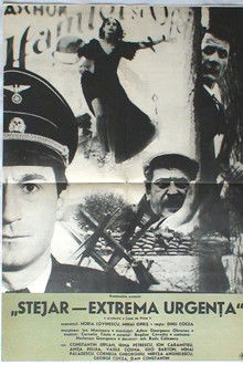 Stejar, extremă urgență