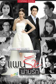 The Cunning Love
