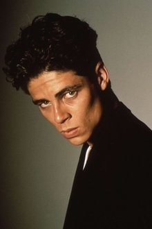 Photo of Benicio del Toro