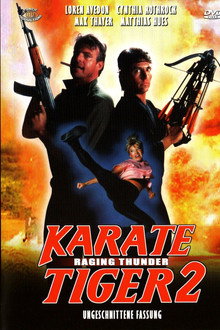 Karate Tiger 2