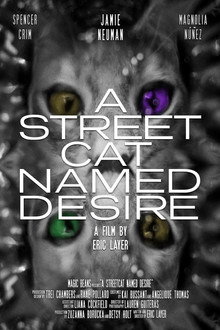 A street Cat Named Desire