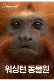 워싱턴 동물원
