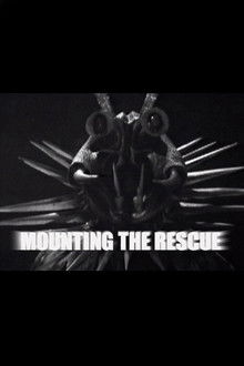 Mounting the Rescue