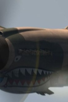 Dogfights