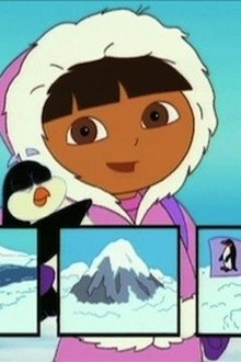 To the South Pole